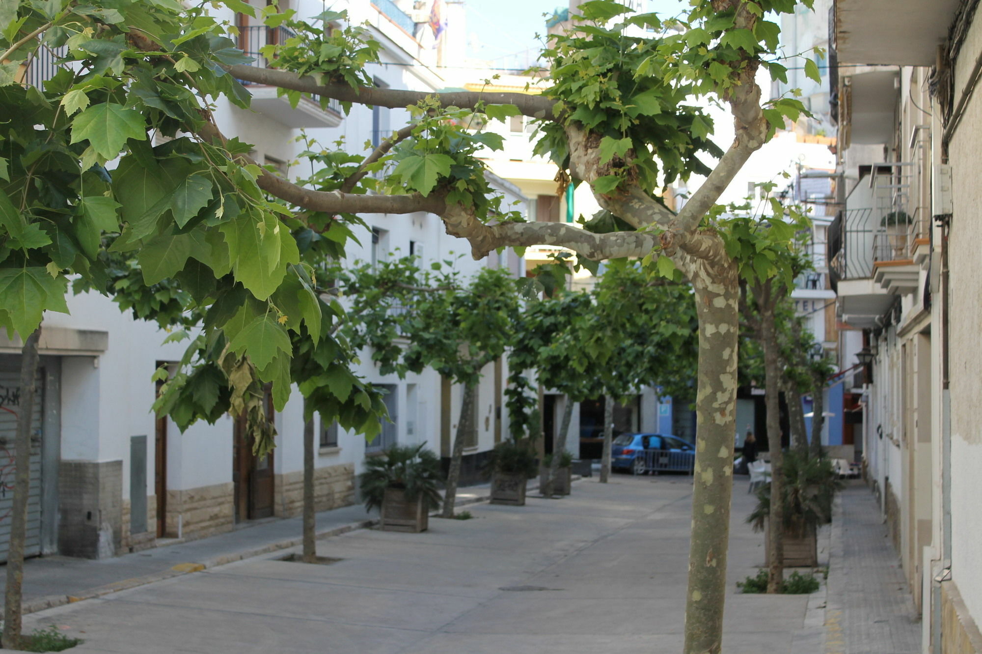 Sitges Apartment For Rent I Dış mekan fotoğraf